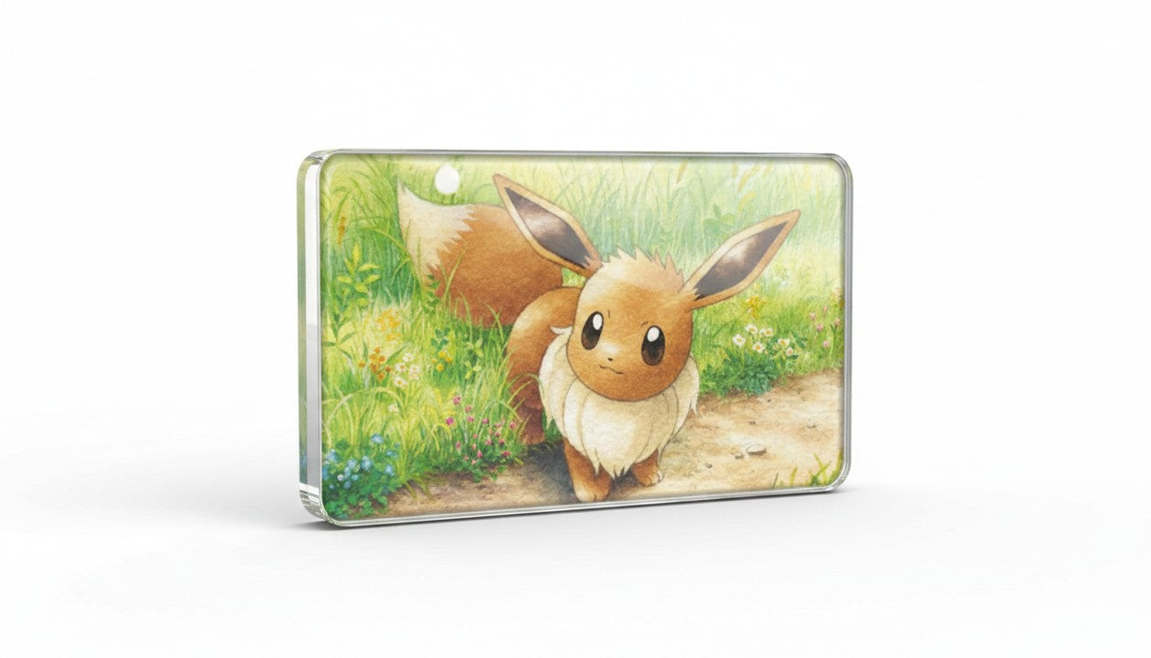 Mystery Pokémon Acrylic Magnet Bundle (3-Pack)